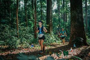 BIB: 
                            <button type="button" onclick="openModal(26130598)" class="btn btn-primary btn-sm float-right btn-popup" data-toggle="modal" data-target=".modal-high-quality">
                        <i class="fas fa-shopping-cart"></i> Add to Cart
                    </button>
                                            <button type="button" onclick="isThisMe(26130598, true)" class="btn btn-success btn-sm float-right btn-popup btn-isme hidden" data-toggle="tooltip" data-placement="bottom" title="นี่คือรูปของคุณใช่ไหม คลิกที่นี่เพื่อเอาเข้าอัลบั้ม">
                        <i class="fas fa-plus"></i> Add to album
                    </button>
                    <button type="button" onclick="isThisMe(26130598, false)" class="btn btn-warning btn-sm float-right btn-popup btn-isnotme hidden">
                        <i class="fas fa-ban"></i> Remove from album
                    </button>